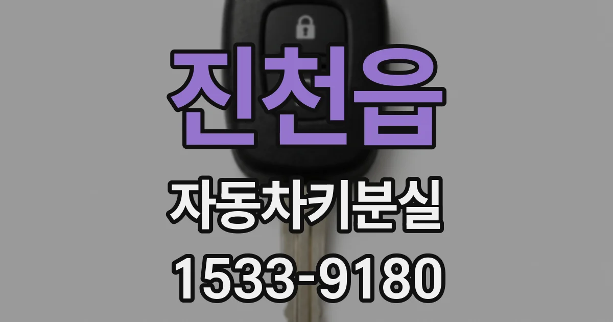 진천읍 자동차키분실