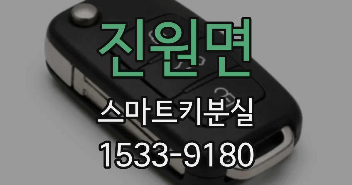 진원면 스마트키분실