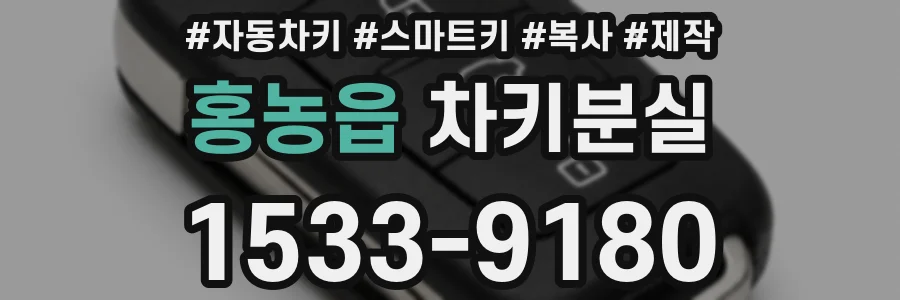 홍농읍 차키분실
