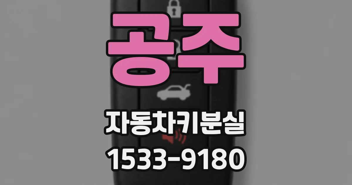 공주 자동차키분실