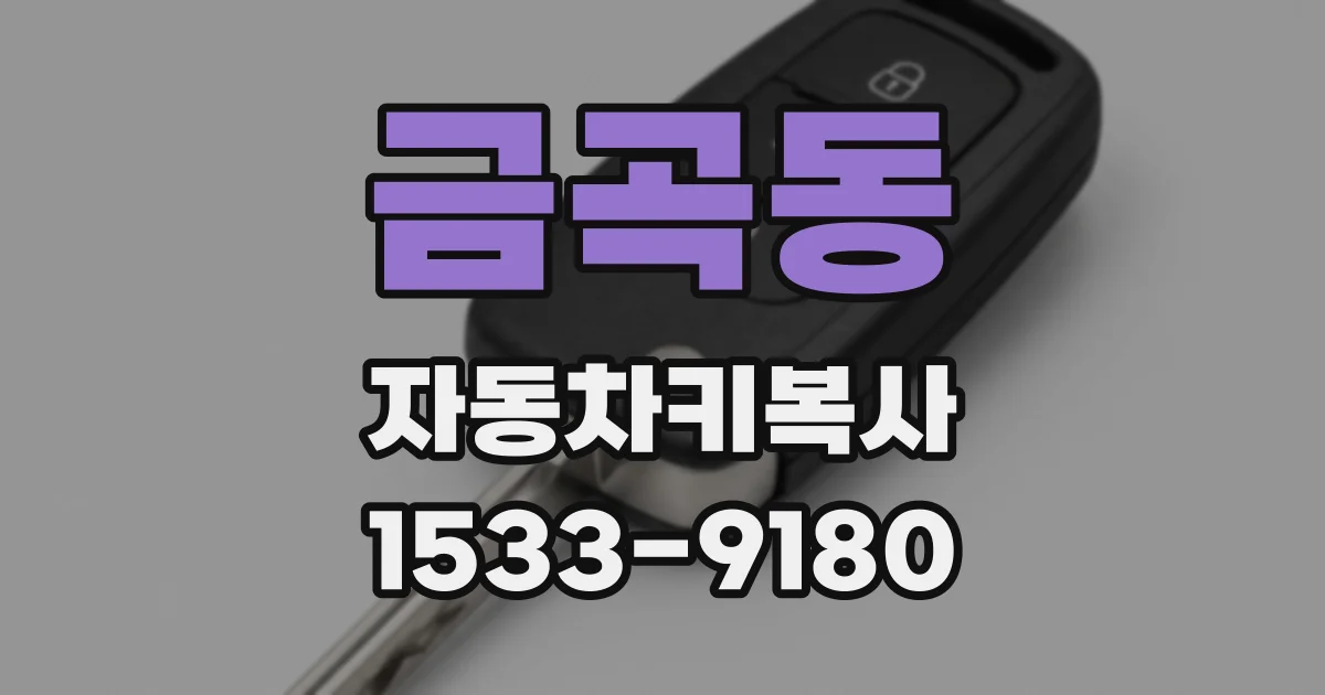 금곡동 자동차키복사