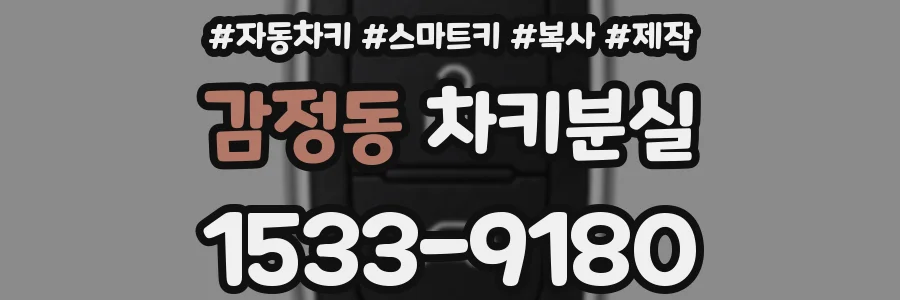 감정동 차키분실