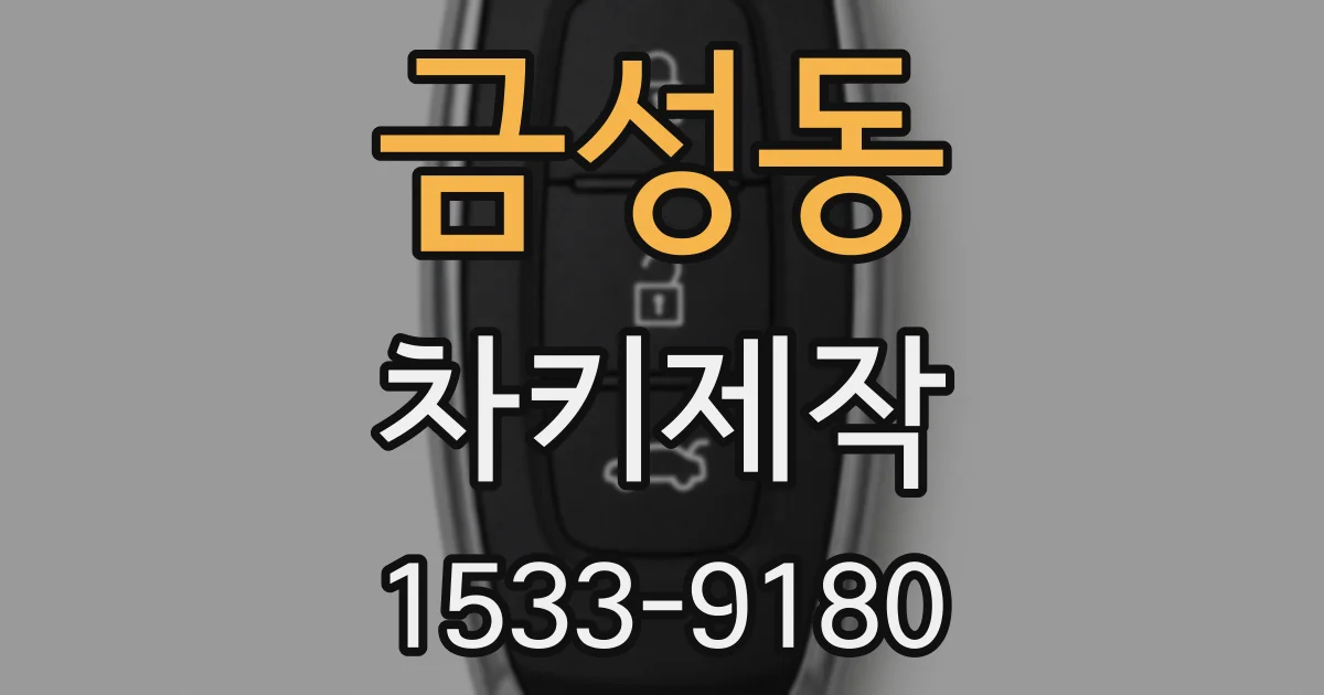 금성동 차키제작
