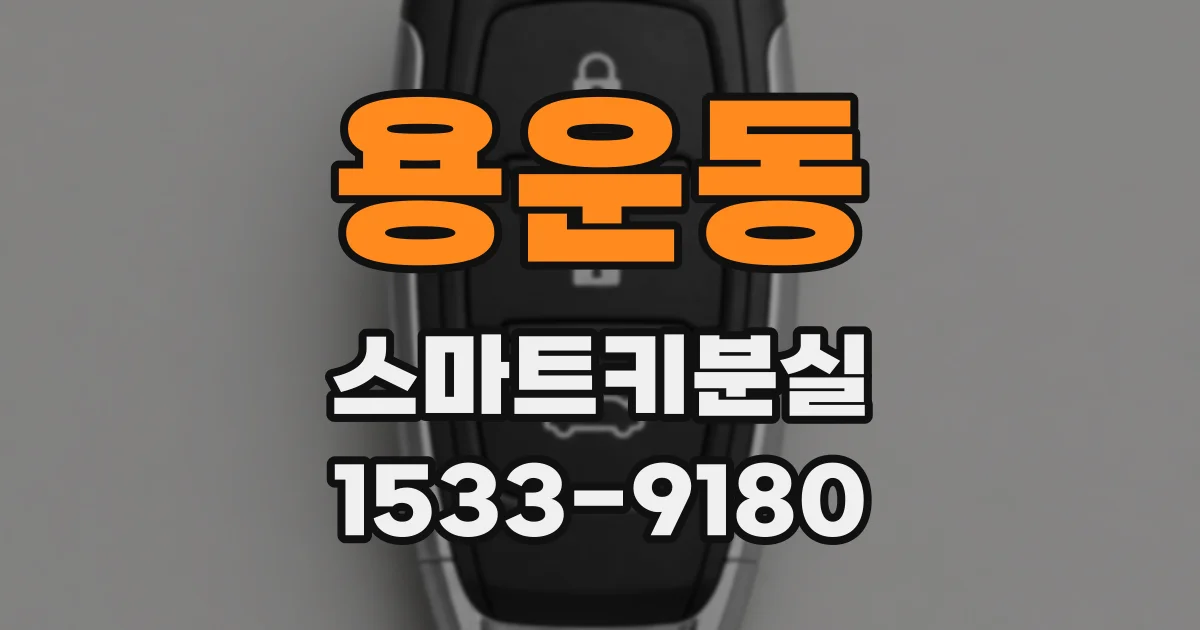 용운동 스마트키분실