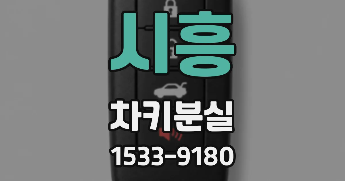 시흥 차키분실