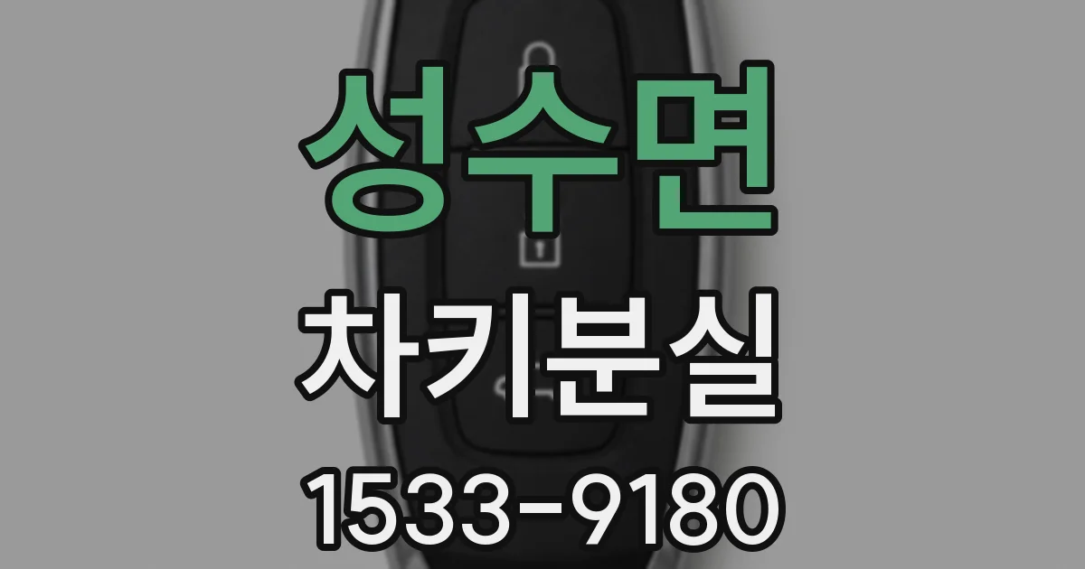 성수면 차키분실