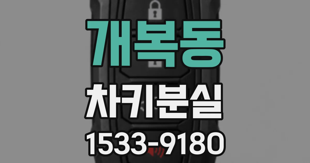 개복동 차키분실