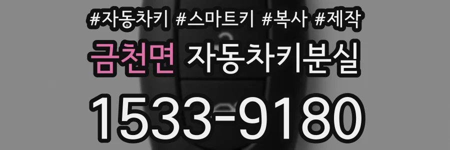 금천면 자동차키분실