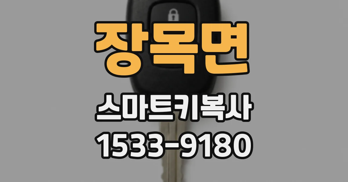 장목면 스마트키복사