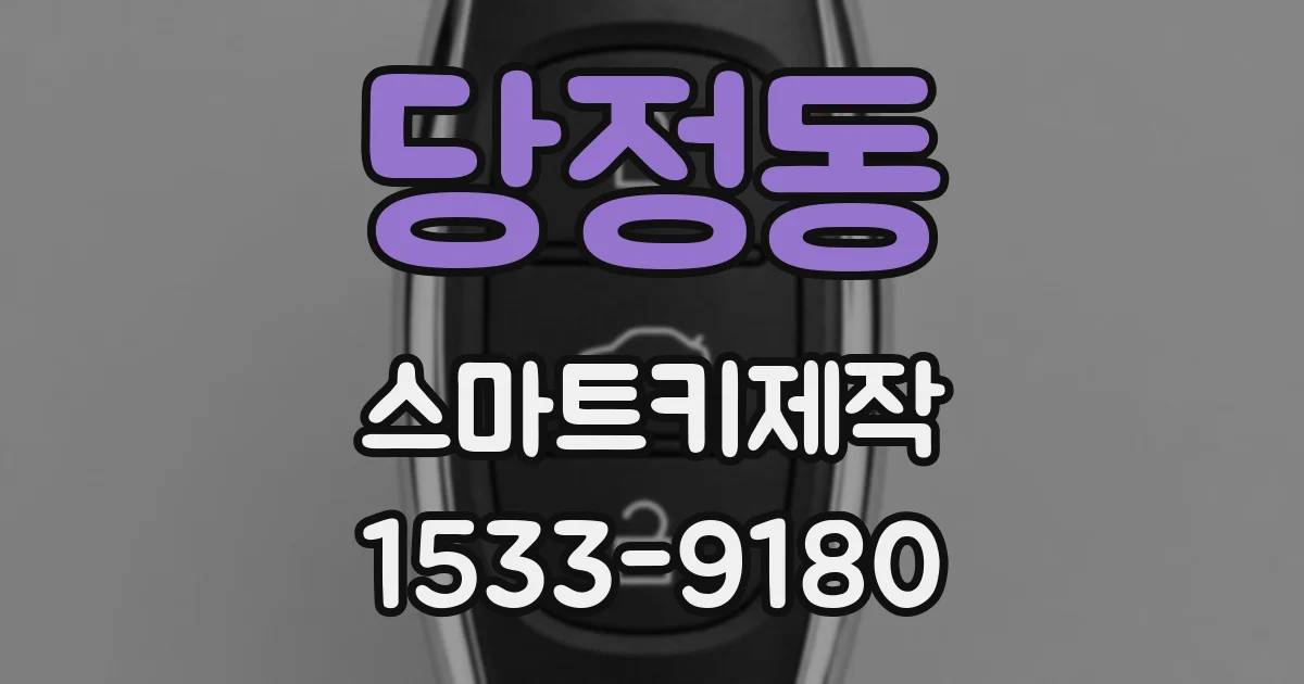 당정동 스마트키제작