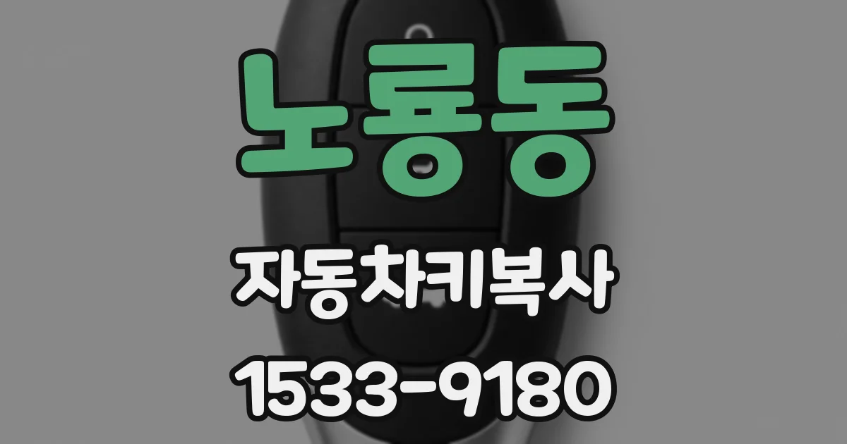 노룡동 자동차키복사