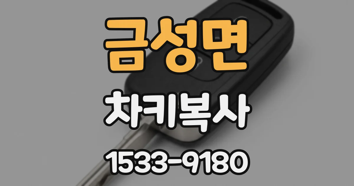 금성면 차키복사