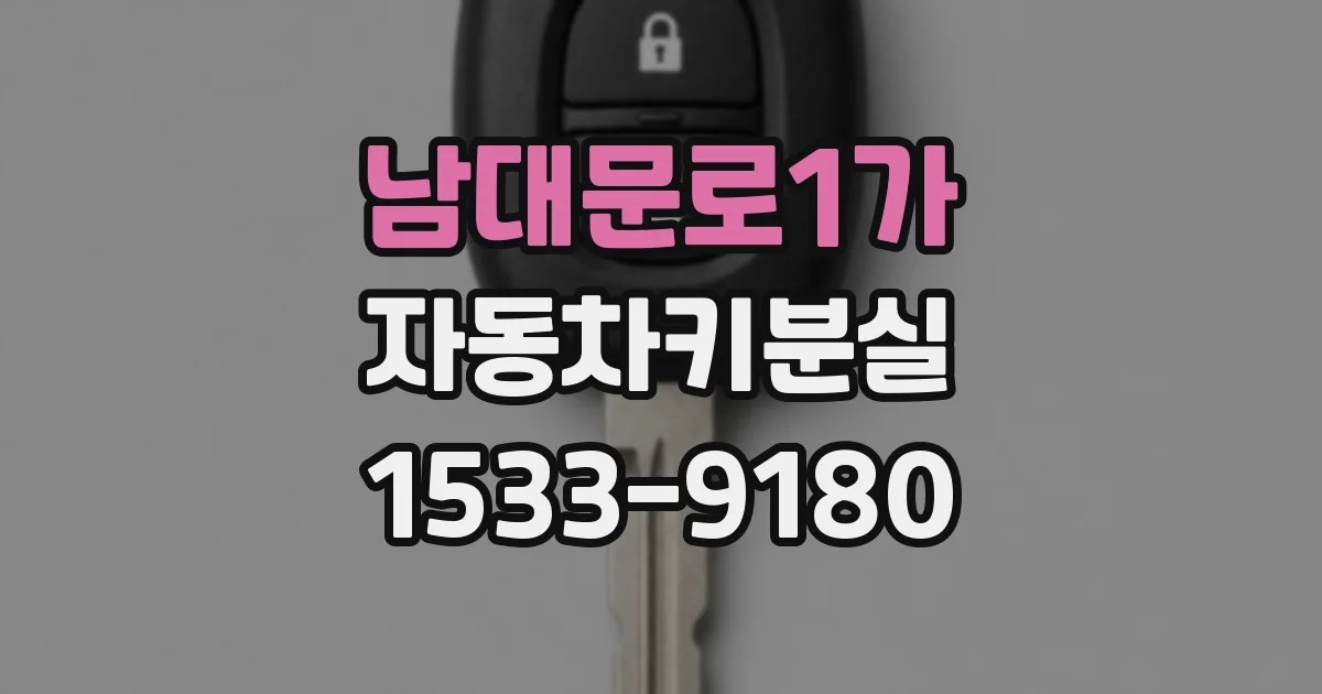 남대문로1가 자동차키분실