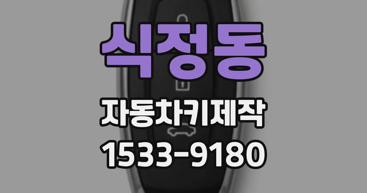 식정동 자동차키제작