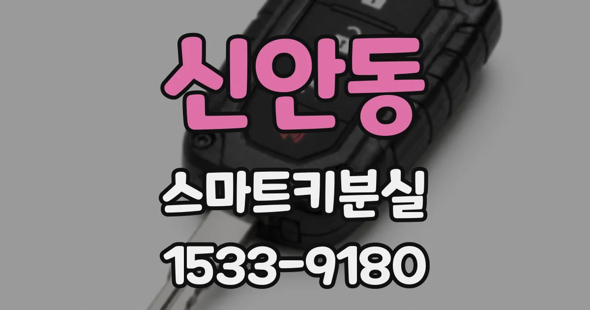 신안동 스마트키분실