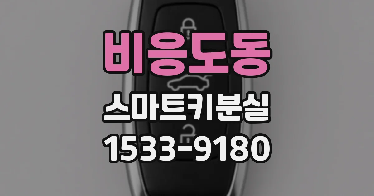비응도동 스마트키분실