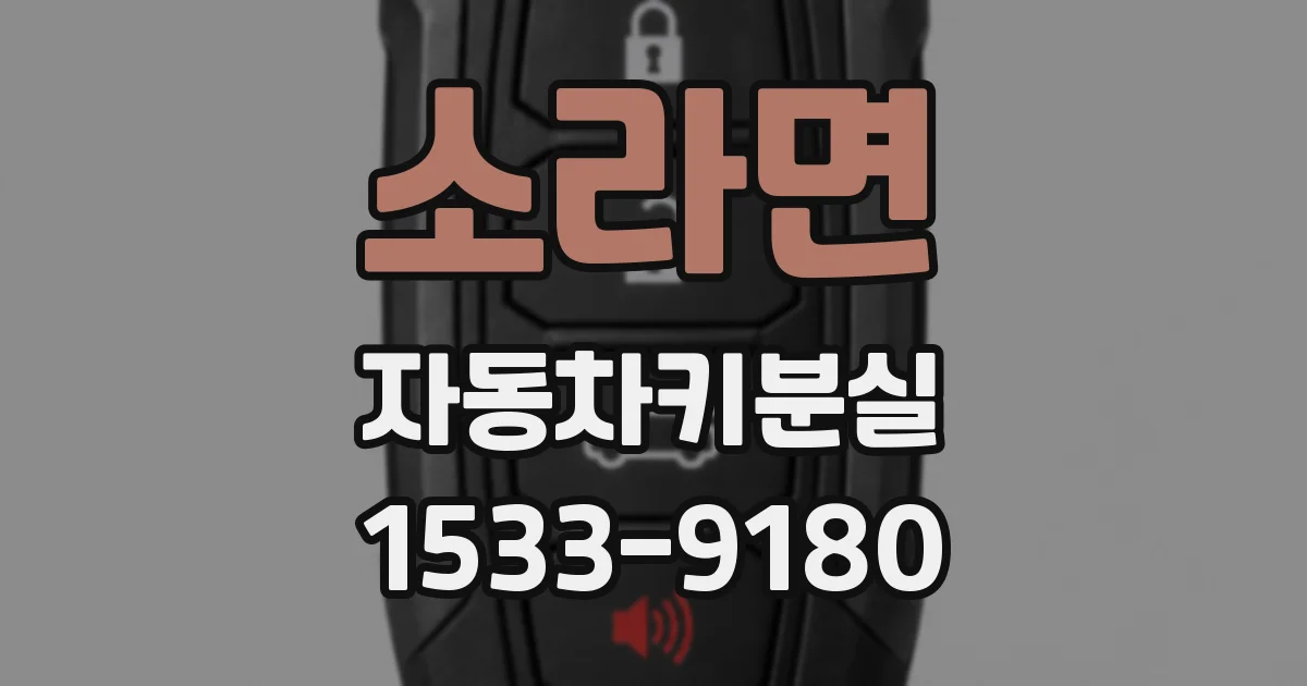 소라면 자동차키분실