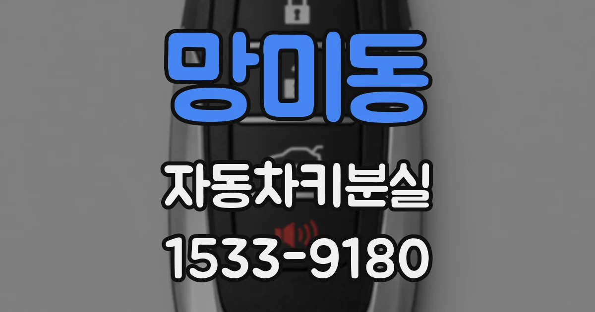 망미동 자동차키분실