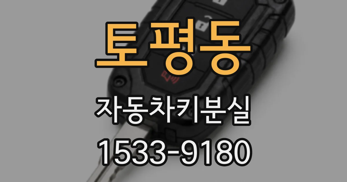 토평동 자동차키분실