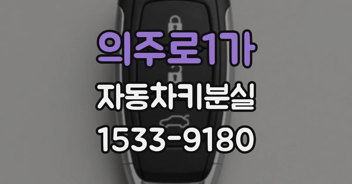 의주로1가 자동차키분실