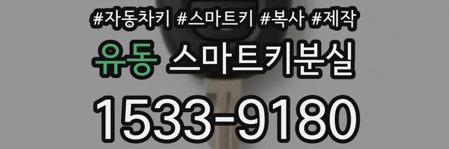 유동 스마트키분실