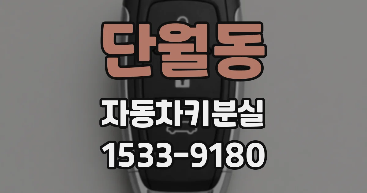 단월동 자동차키분실