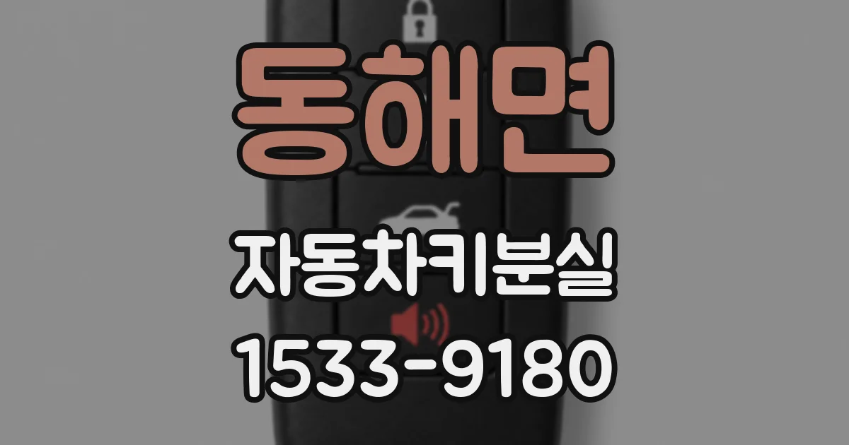 동해면 자동차키분실