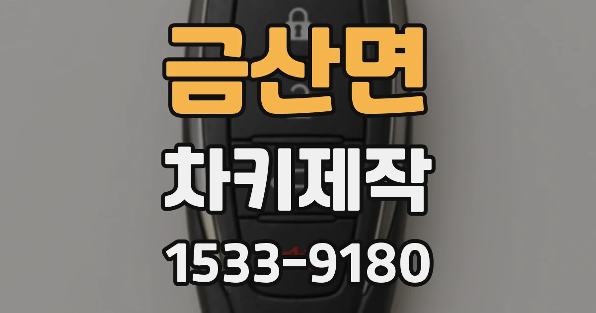 금산면 차키제작