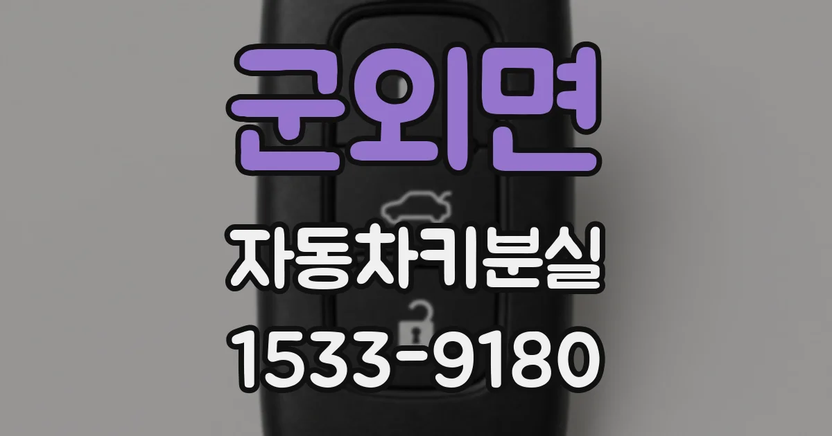 군외면 자동차키분실