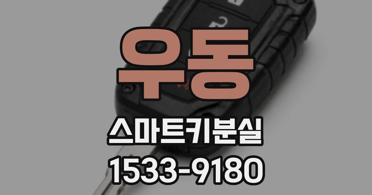 우동 스마트키분실