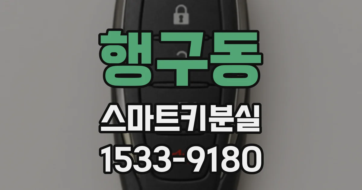 행구동 스마트키분실