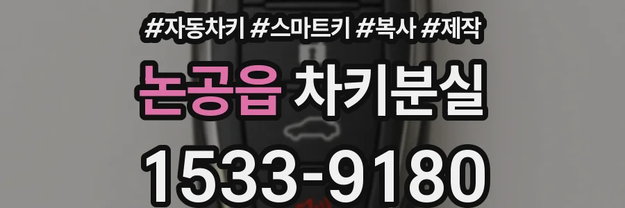 논공읍 차키분실
