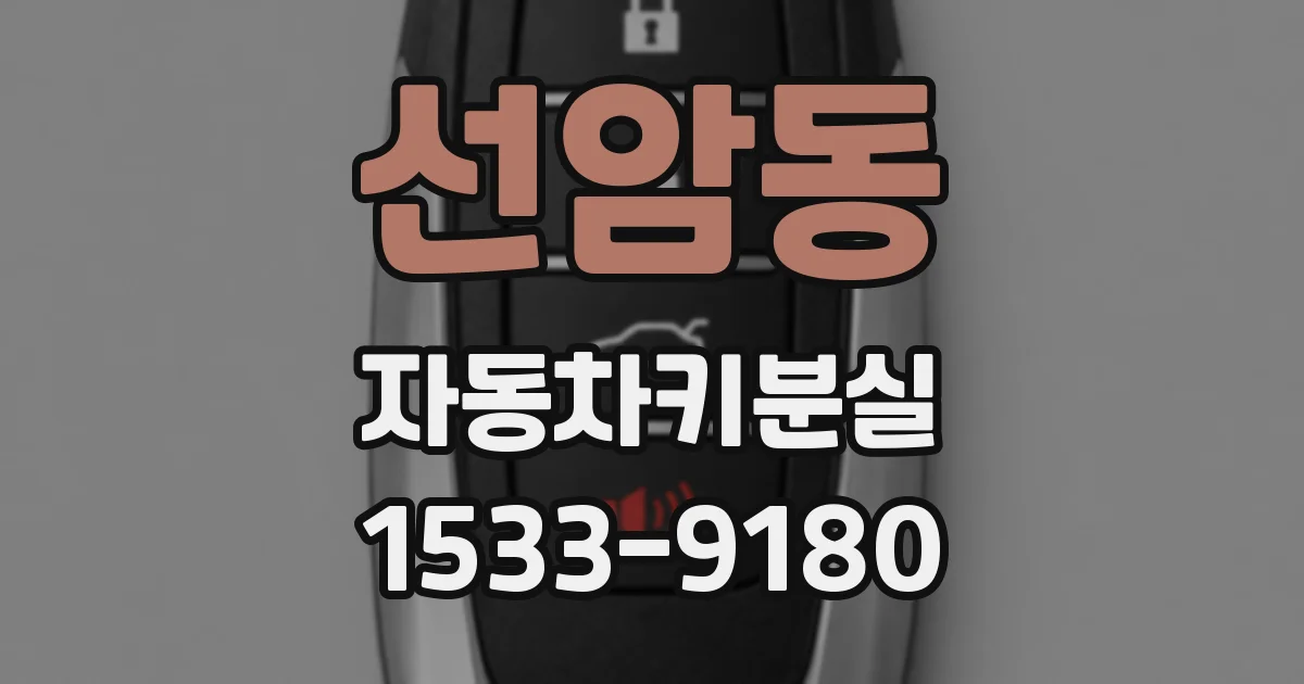 선암동 자동차키분실