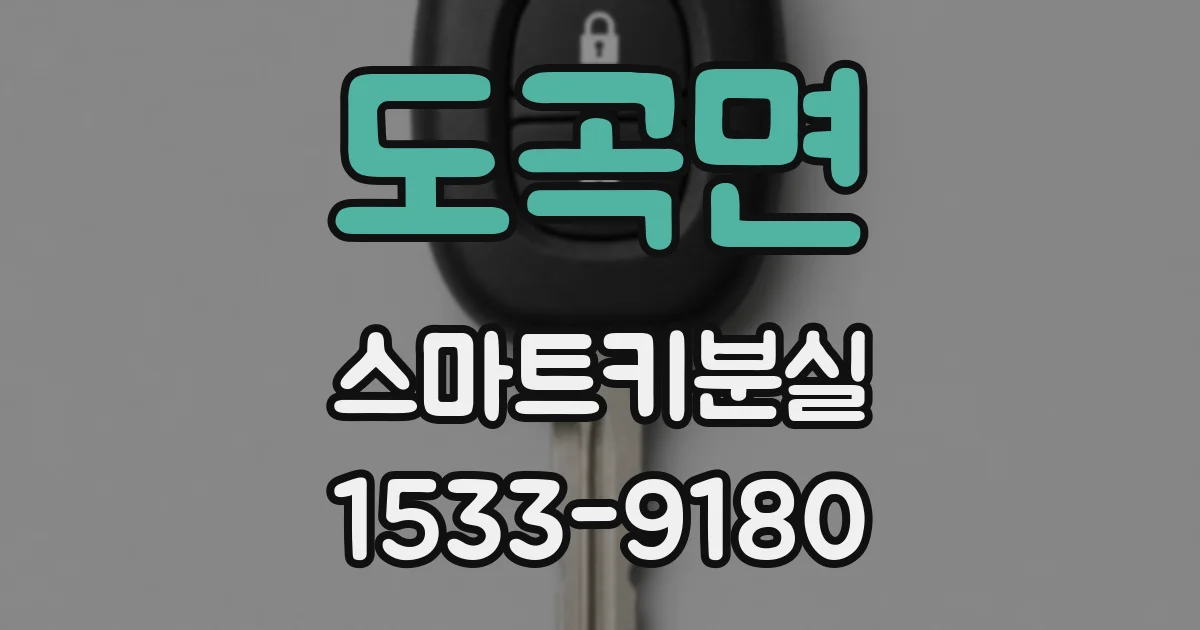 도곡면 스마트키분실
