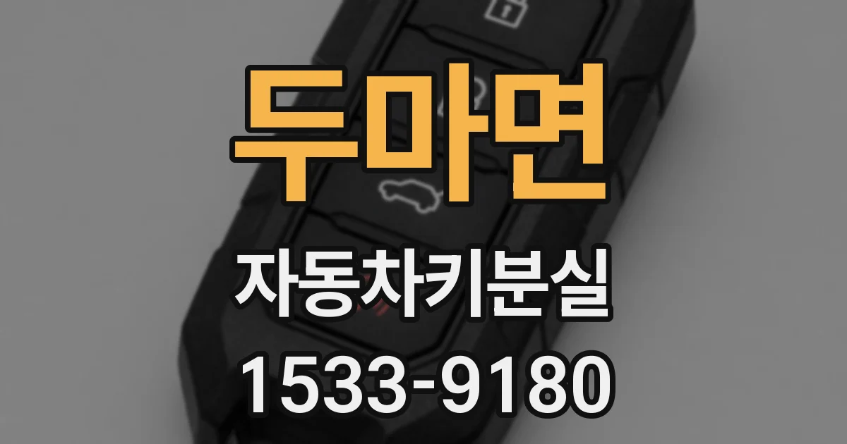 두마면 자동차키분실