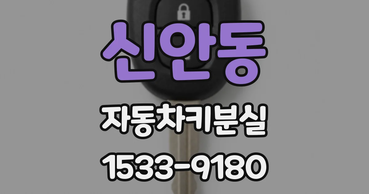 신안동 자동차키분실