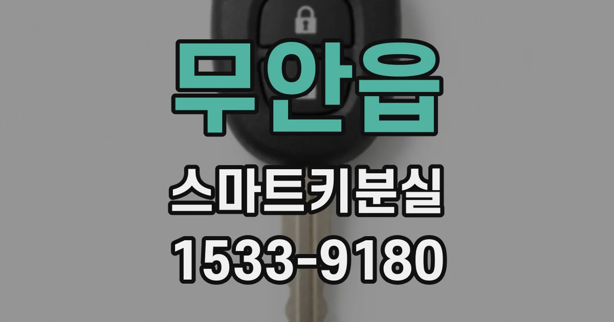 무안읍 스마트키분실