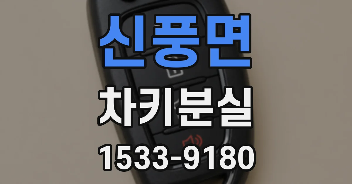 신풍면 차키분실