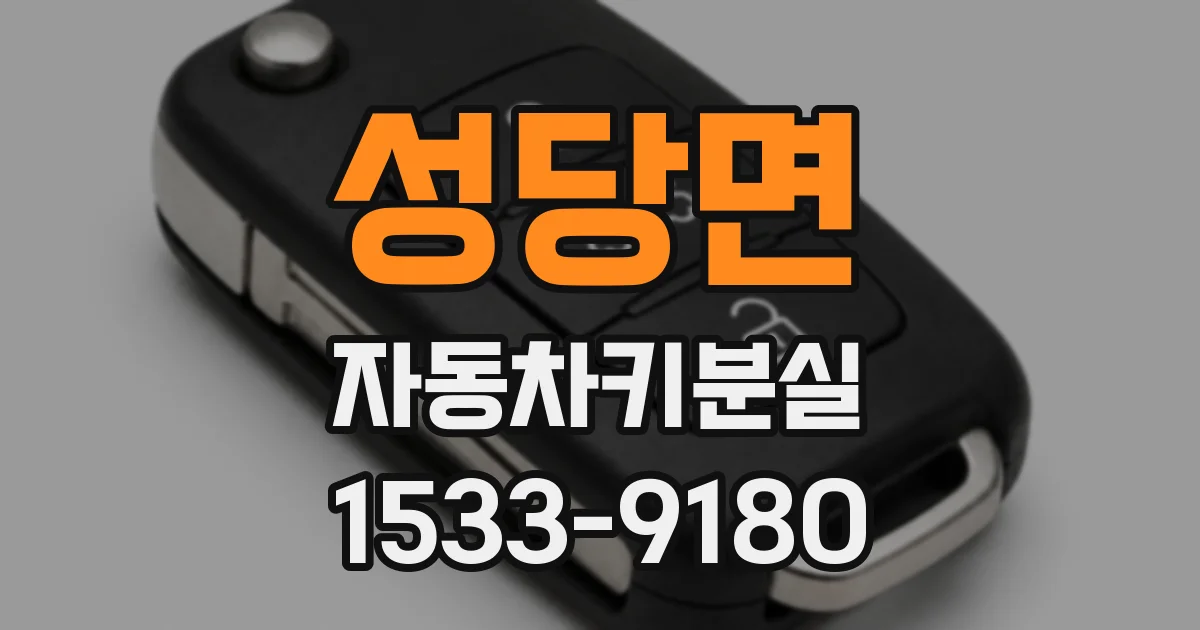 성당면 자동차키분실