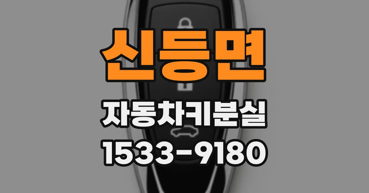 신등면 자동차키분실