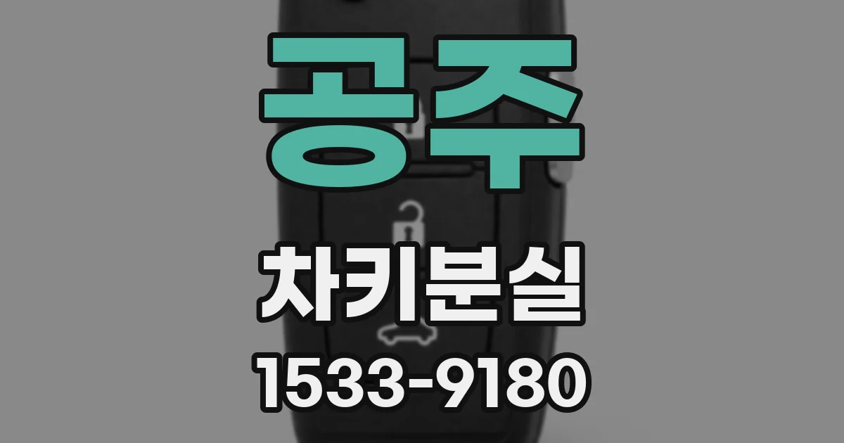 공주 차키분실