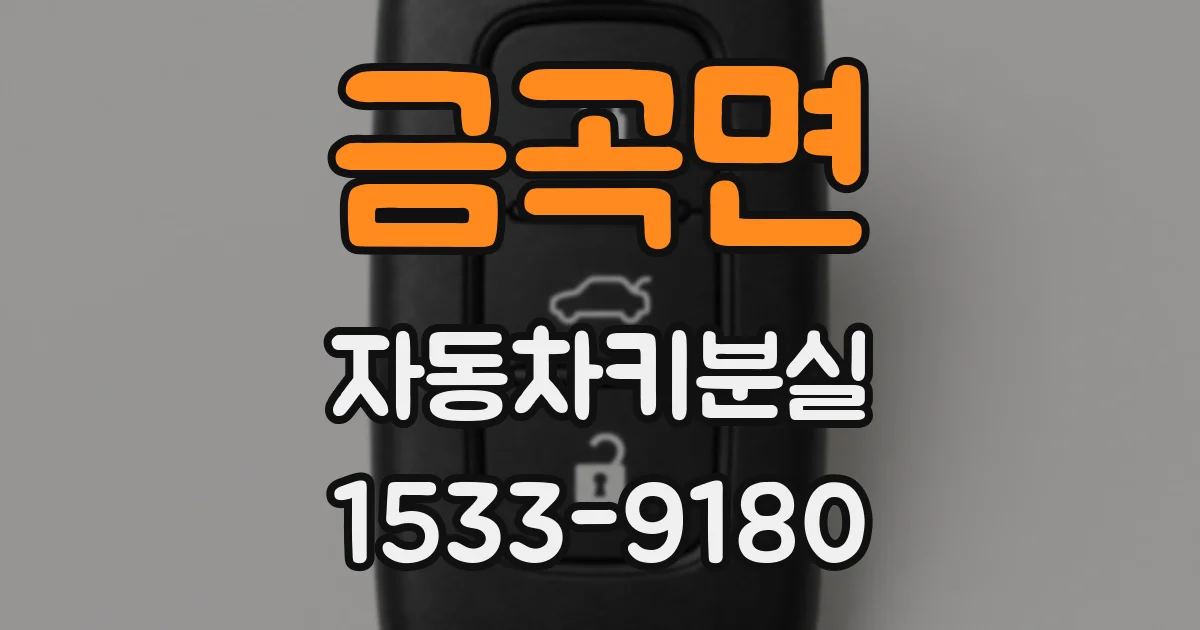 금곡면 자동차키분실