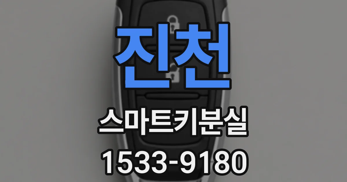 진천 스마트키분실