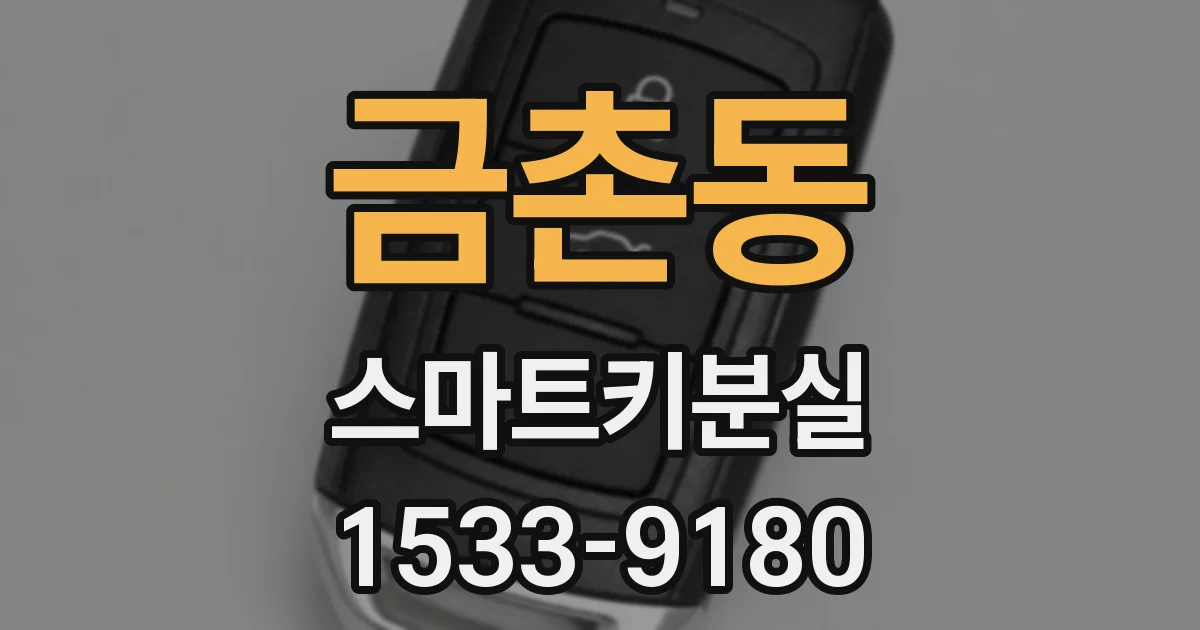 금촌동 스마트키분실