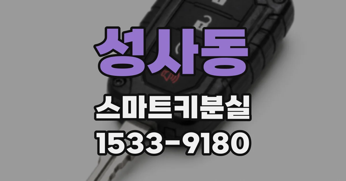 성사동 스마트키분실