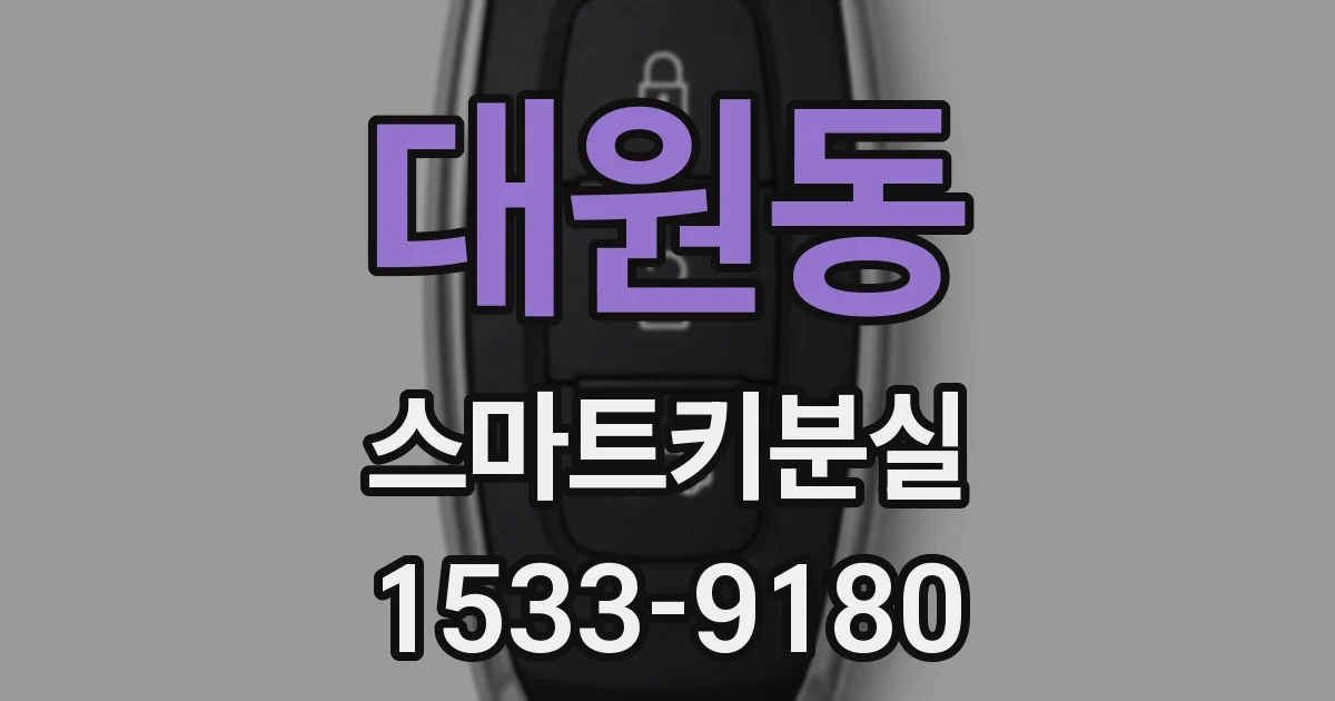 대원동 스마트키분실