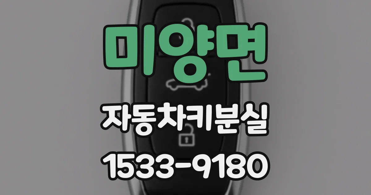 미양면 자동차키분실