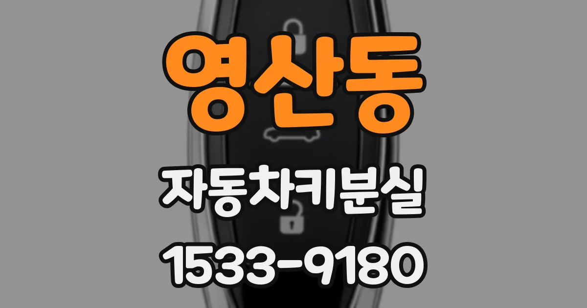 영산동 자동차키분실
