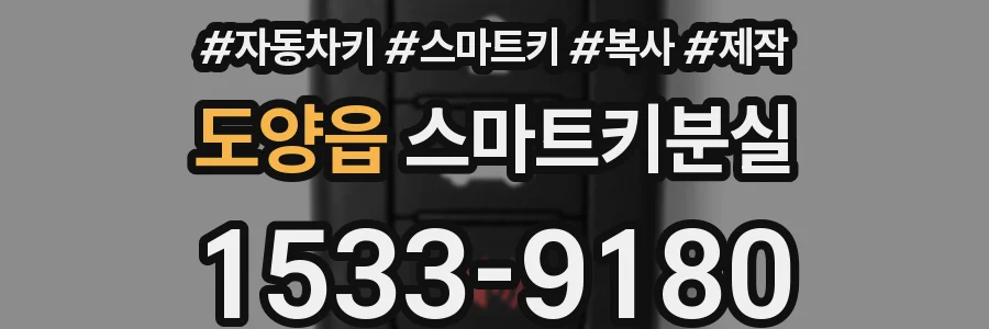 도양읍 스마트키분실
