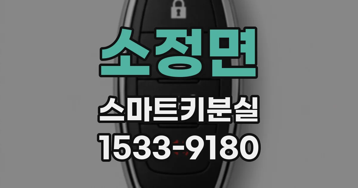소정면 스마트키분실